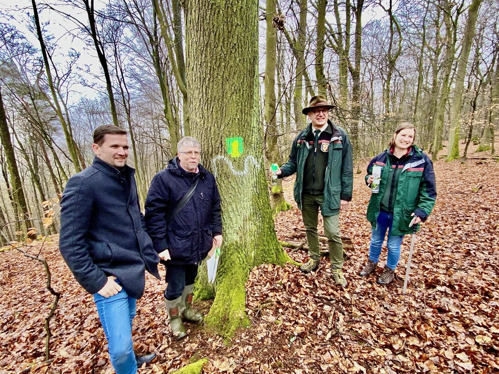 Bild: Klimafreundlich essen und den Wald schützen