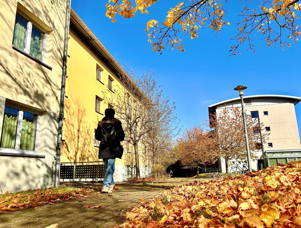 Bild: Zu wenig bezahlbarer Wohnraum für Studierende in Trier