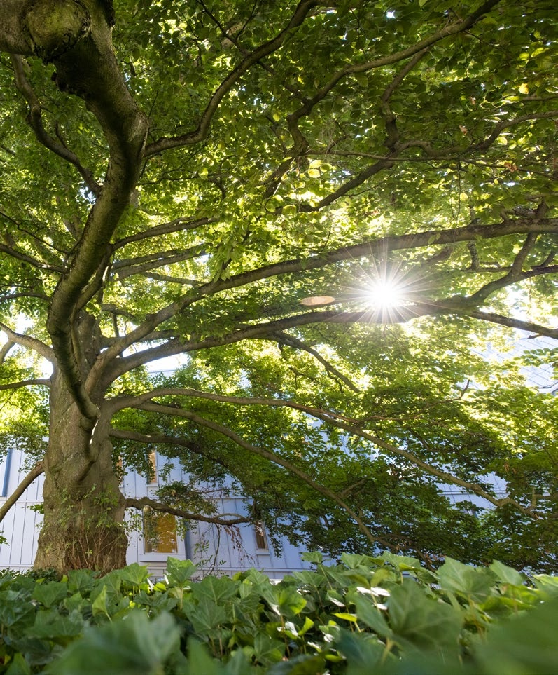 Bild: Umwelt und Klima im Fokus: