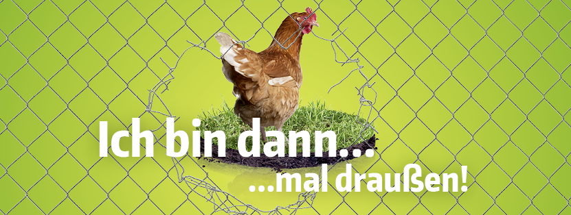 Foto: Huhn ohne Käfig